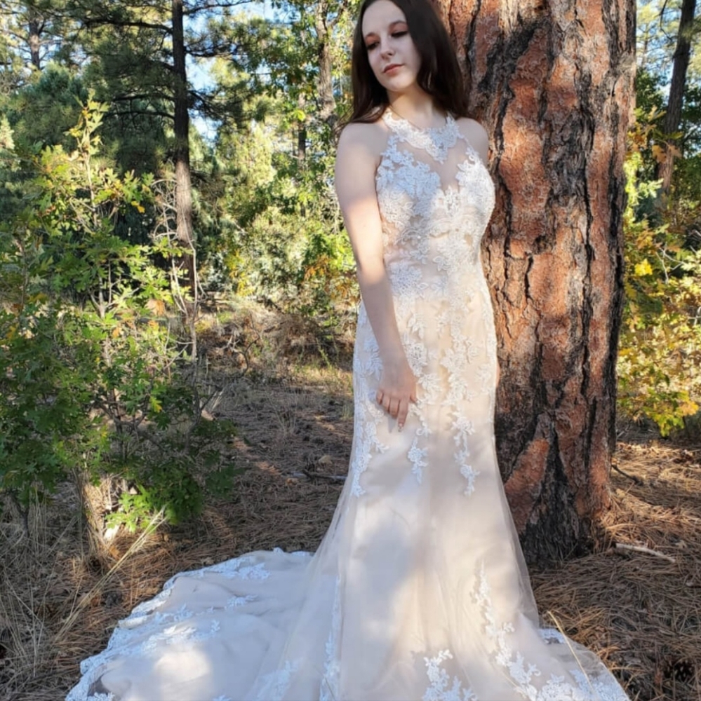 Hayden Halter Lace Champagne Mermaid Wedding Dress Size 10 NEW